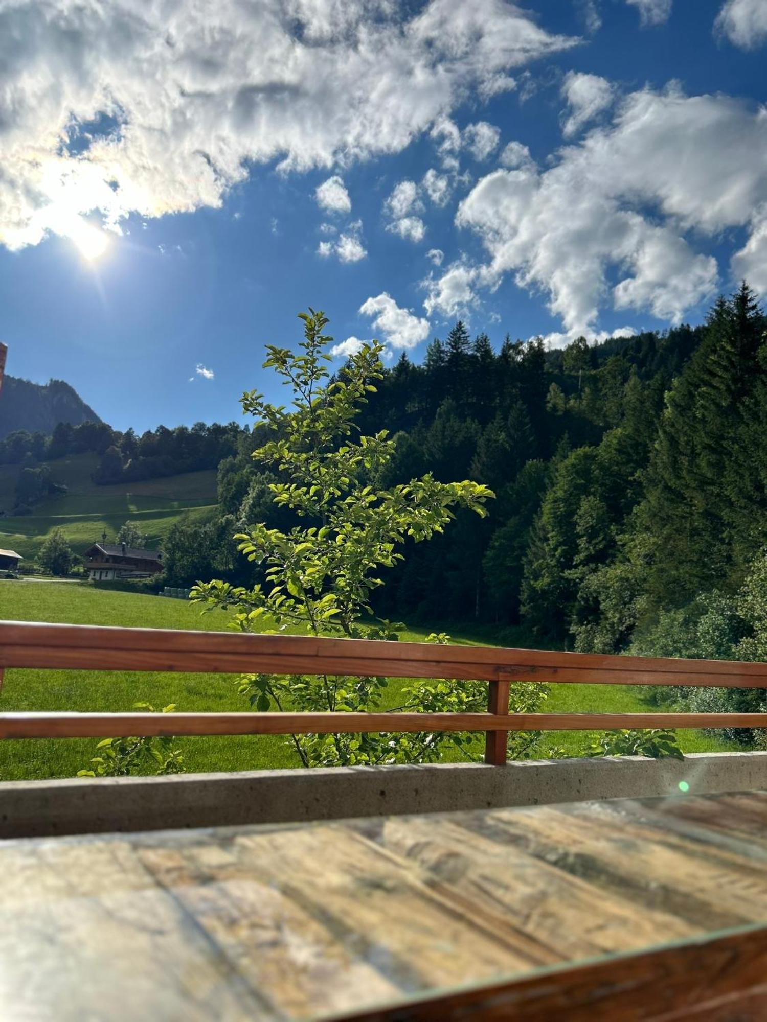Bergblick Apartment Wald im Pinzgau Luaran gambar